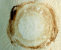 andere_techniken-index001004.jpg
