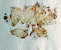 andere_techniken-index001013.jpg