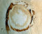 andere_techniken-index001014.jpg