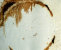 andere_techniken-index001015.jpg