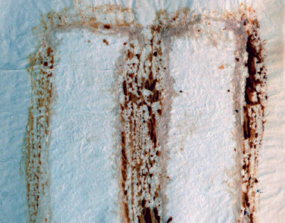 andere_techniken-index006003.jpg