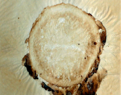 andere_techniken-index009003.jpg