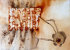andere_techniken-index015010.jpg