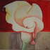 Blume_Calla_2007