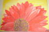 Gerbera_2005