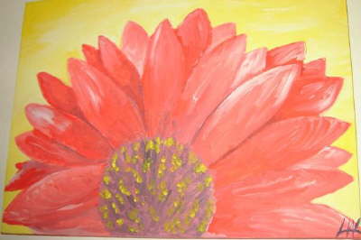 Gerbera_2005