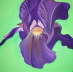 Schwertlilie_2007