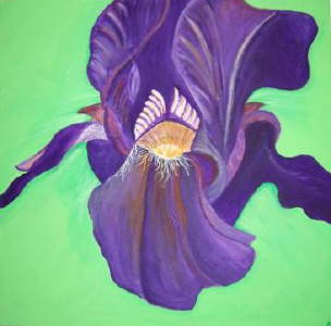 Schwertlilie_2007