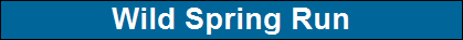 Wild Spring Run