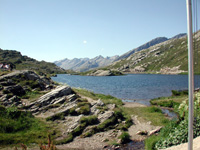 Sankt Bernhard