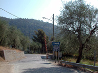 Olivetta