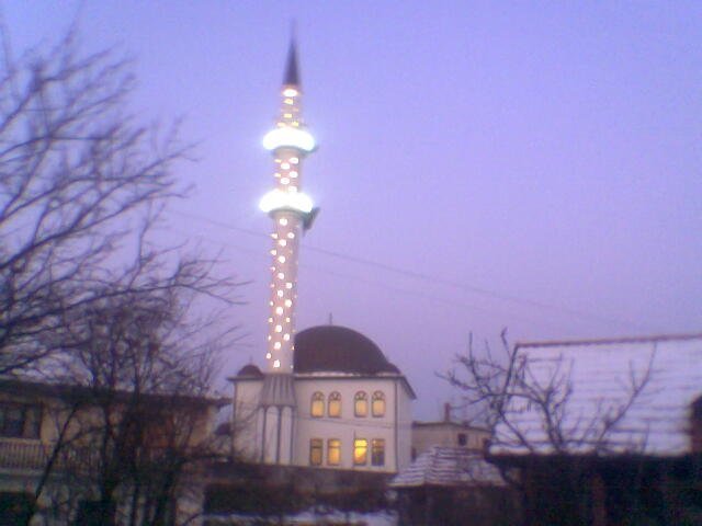 bild016.jpg