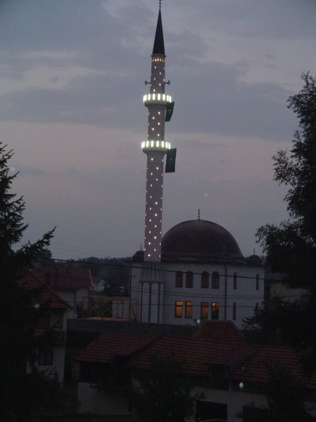 dsc03607.jpg