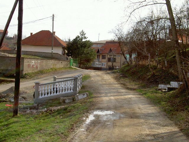 pict1543.jpg