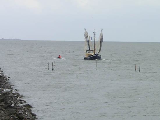 Bild 096