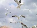 Bild 110