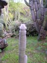 Bild 038