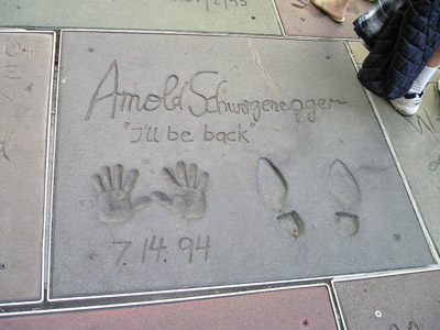 Bild 401