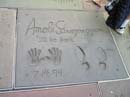 Bild 401