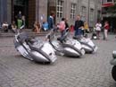 Bild 024