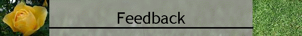 Feedback