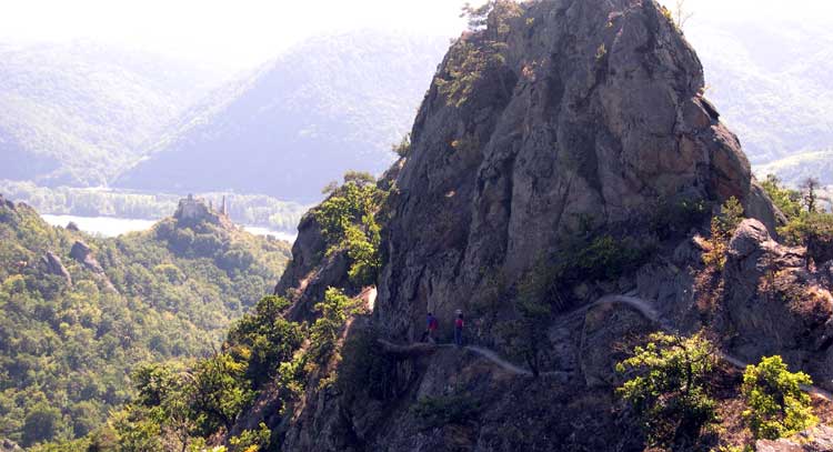 Vogelbergsteig Wachau
