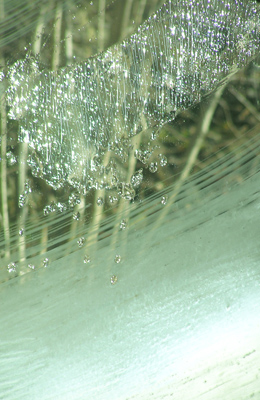 T&uuml;rverglasung mit Glasemail&uuml;berz&uuml;gen und&nbsp;Transparentfluss