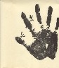 F.jpg (34327 bytes)