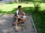 SANY0402 * 2288 x 1712 * (974KB)