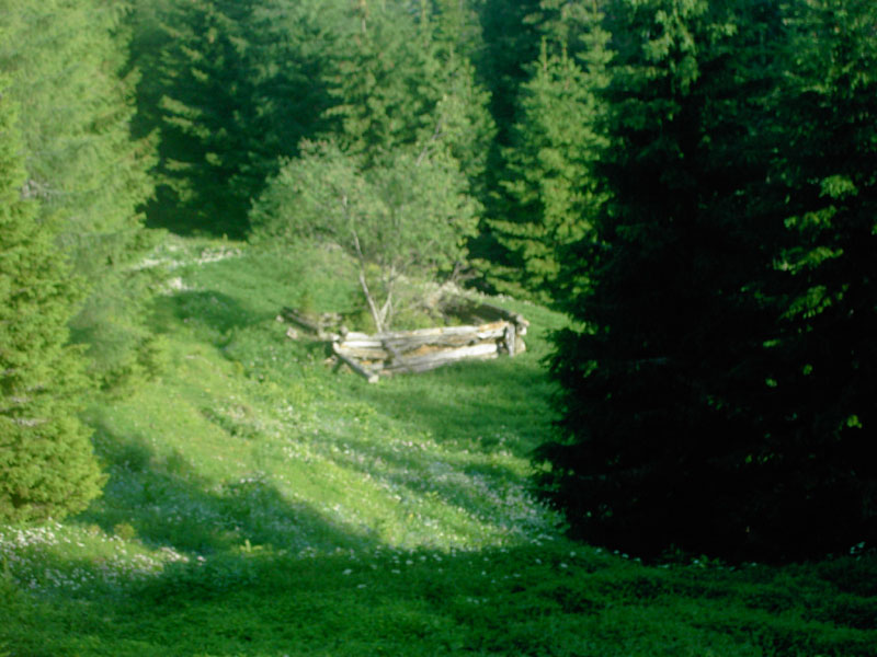 03_jetzt_annah.