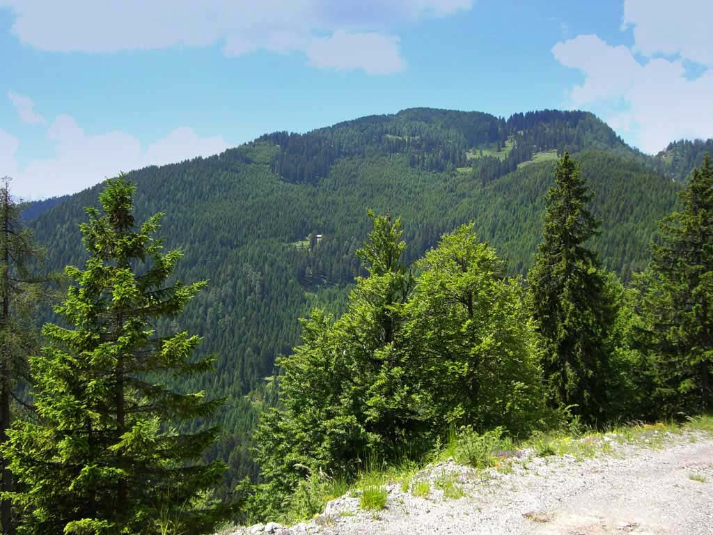 03_weg_slo