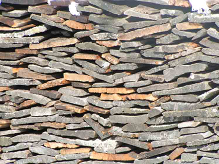 Holz