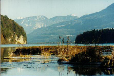 drau