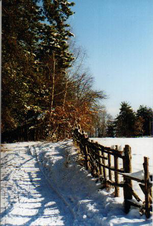 schnee