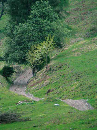 siebenbrunn